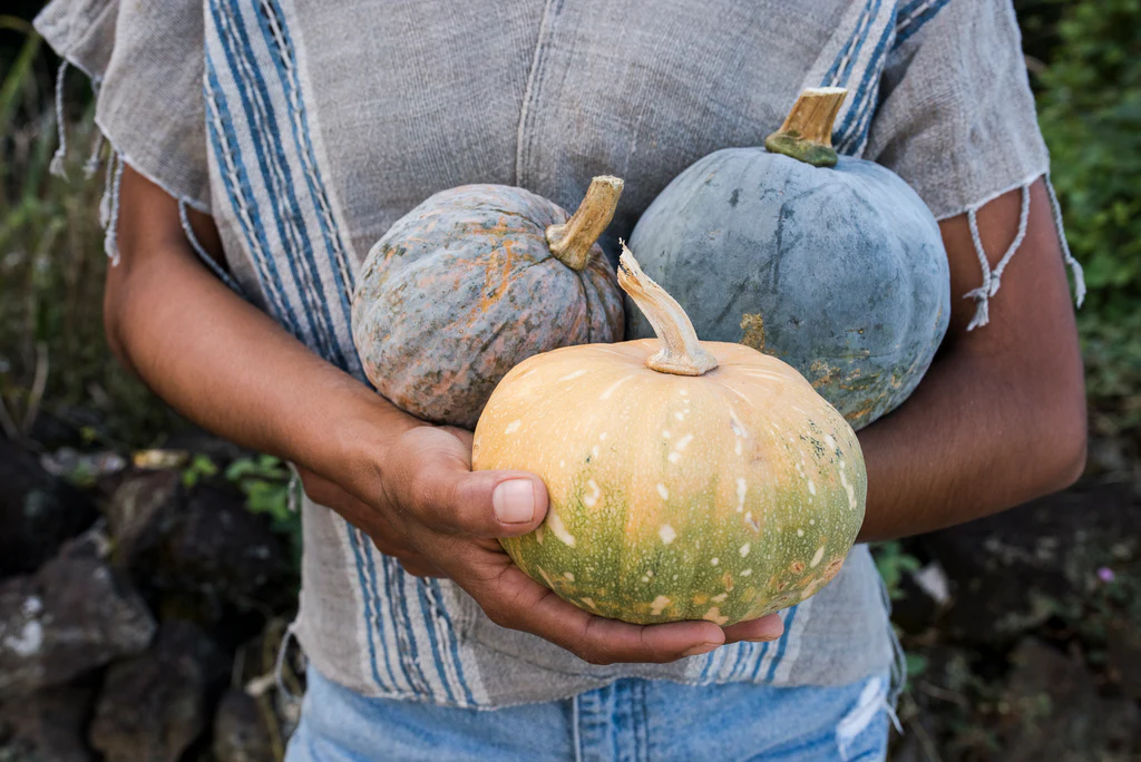 three squash