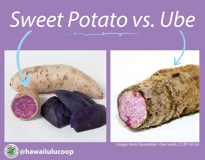 Yams vs Sweet Potatoes: What Are The Differences & Similarities