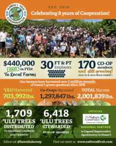 HUC's 8th Year Anniversary Infographic