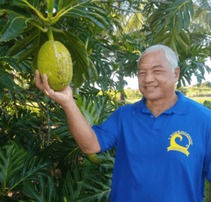 Wong Way Farm