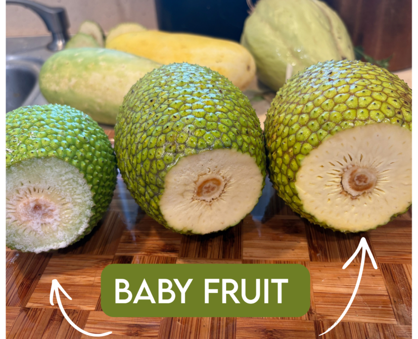Baby fruit-2