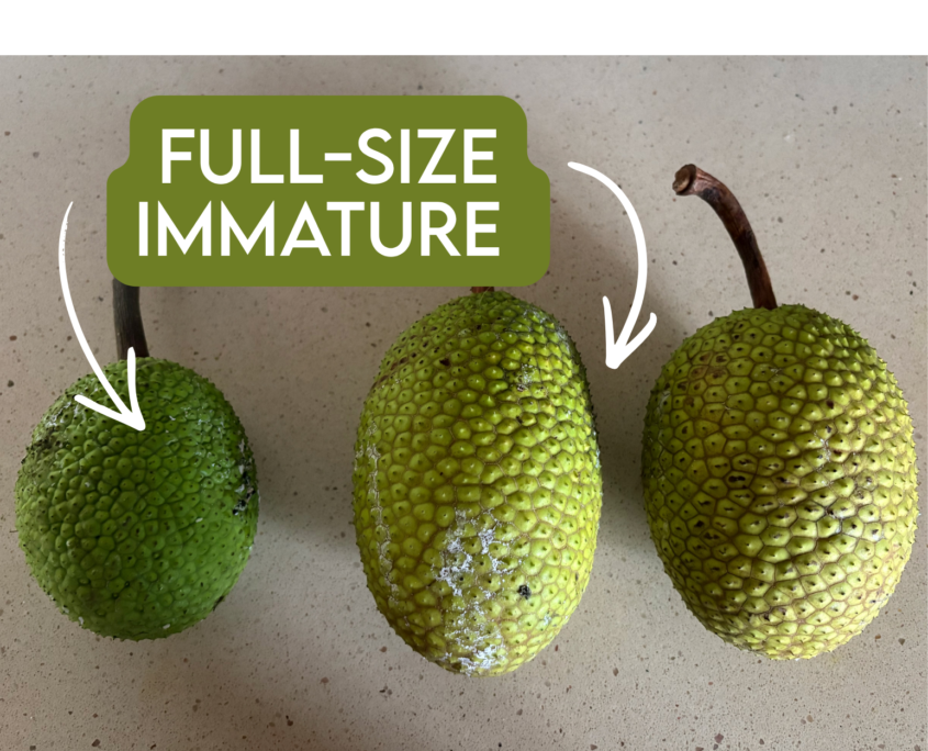 Baby fruit-5