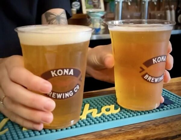 Two glasses of ʻulu lager on the bar at Kona Brewing Hawaiʻi