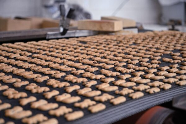 Trays of ʻUlu & Blueberry Animal Crackers coming off the line at Diamond Bakery
