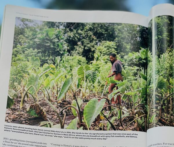 Open spread of the Hana Hou! magazine feature on ʻulu and the cooperative